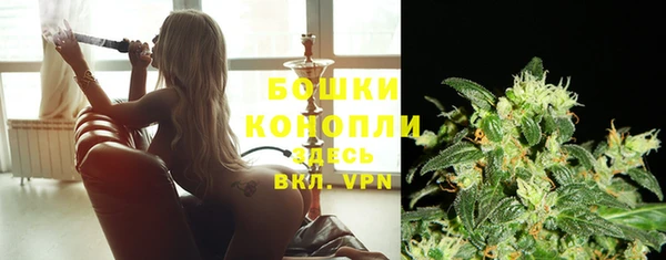 spice Корсаков